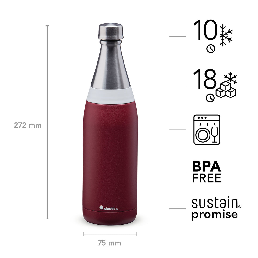Aladdin | Fresco Insulated Water Bottle Keeps 10 Hours Cold